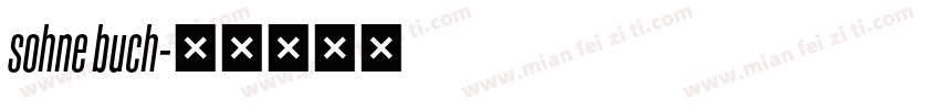 sohne buch字体转换